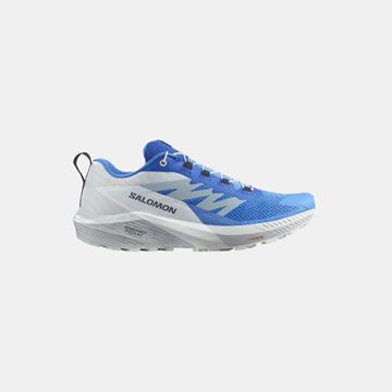 Picture of SALOMON - SENSE RIDE 5